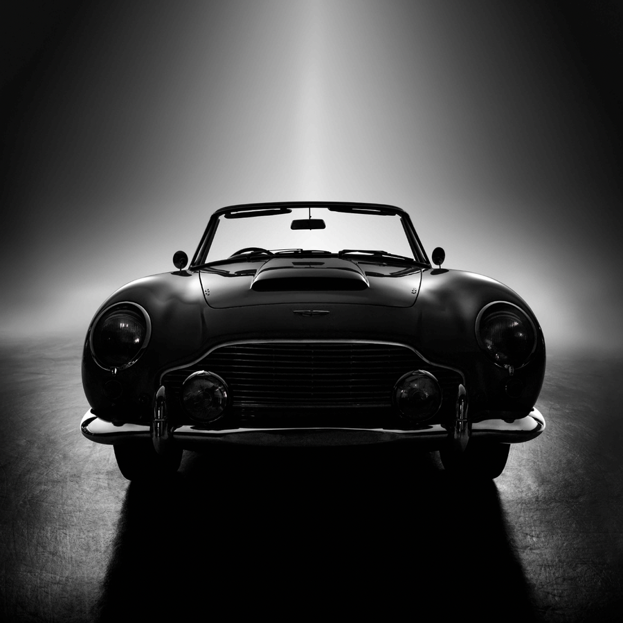 Forever Bond from the series "Black Beauties" by René Staud