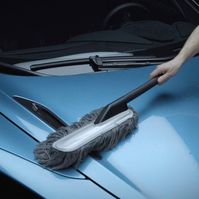 CAR DUSTER feather duster large / small / set 
