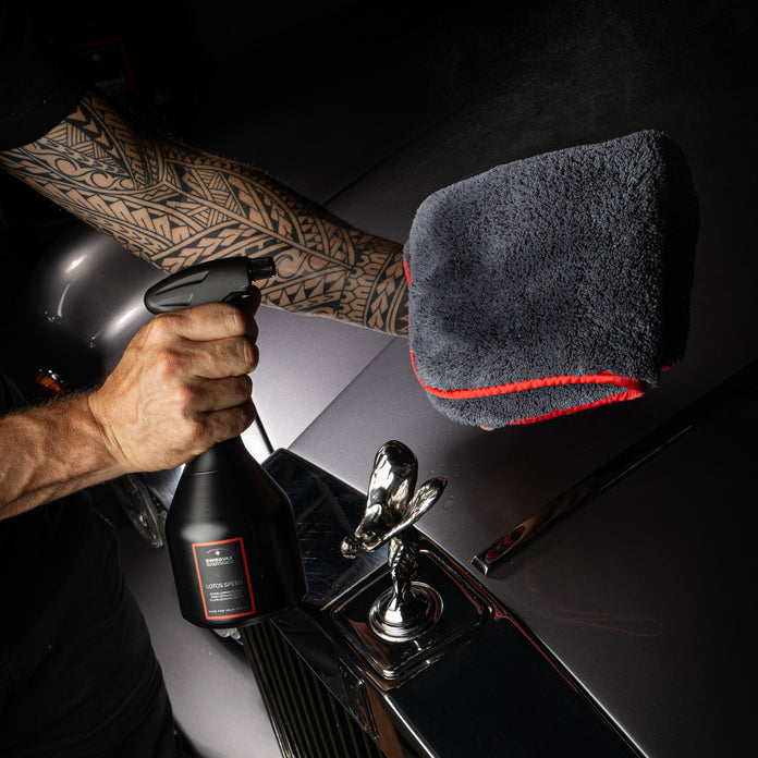 LOTOS SPEED Quick Detailing Quick sealing of all surfaces (except textile) 